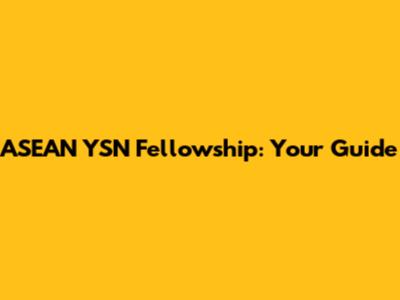 ASEAN YSN Fellowship: Your Guide