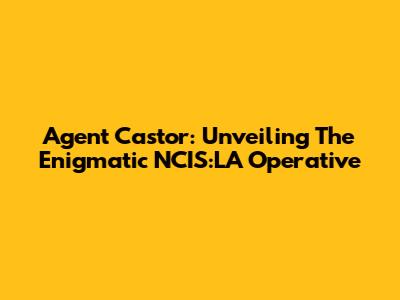 Agent Castor: Unveiling The Enigmatic NCIS:LA Operative