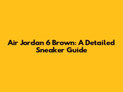 Air Jordan 6 Brown: A Detailed Sneaker Guide
