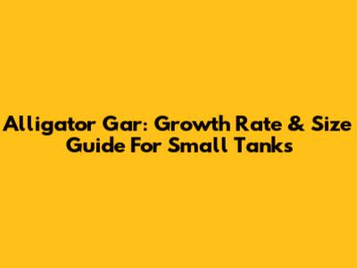 Alligator Gar: Growth Rate & Size Guide For Small Tanks