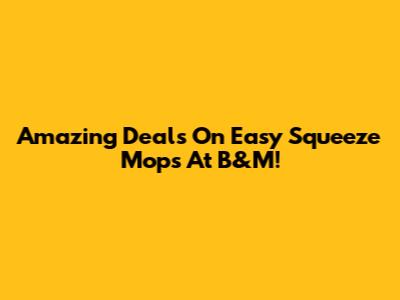 Amazing Deals On Easy Squeeze Mops At B&M!