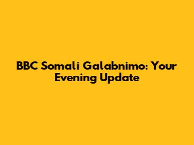 BBC Somali Galabnimo: Your Evening Update