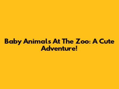 Baby Animals At The Zoo: A Cute Adventure!