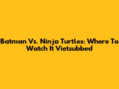 Batman Vs. Ninja Turtles: Where To Watch It Vietsubbed