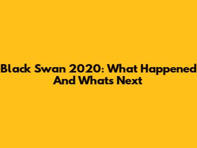 Black Swan 2020: What Happened And What's Next