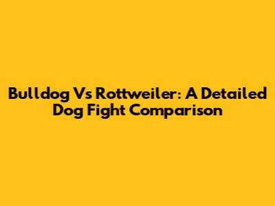 Bulldog Vs Rottweiler: A Detailed Dog Fight Comparison