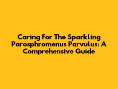 Caring For The Sparkling Parosphromenus Parvulus: A Comprehensive Guide