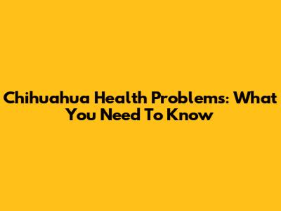 Chihuahua Health Problems: What You Need To Know