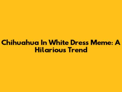 Chihuahua In White Dress Meme: A Hilarious Trend