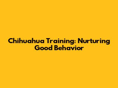 Chihuahua Training: Nurturing Good Behavior