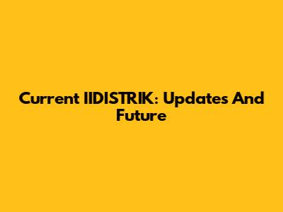 Current IIDISTRIK: Updates And Future