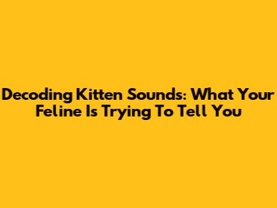 Decoding Kitten Sounds: What Your Feline Is Trying To Tell You