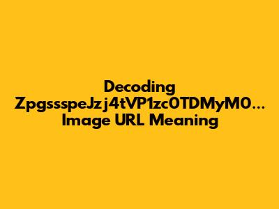 Decoding ZpgssspeJzj4tVP1zc0TDMyM0... Image URL Meaning