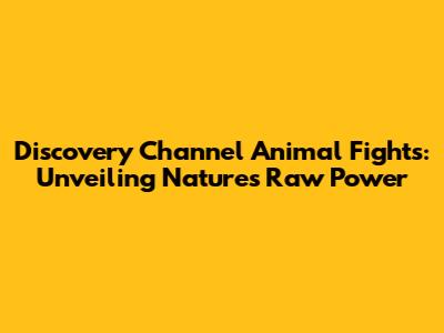 Discovery Channel Animal Fights: Unveiling Nature's Raw Power
