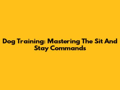 Dog Training: Mastering The Sit And Stay Commands