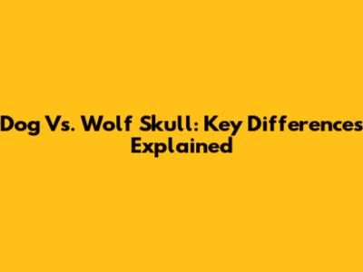 Dog Vs. Wolf Skull: Key Differences Explained