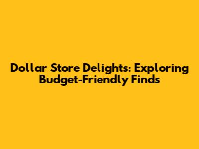 Dollar Store Delights: Exploring Budget-Friendly Finds