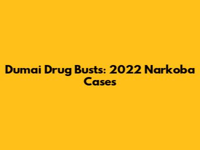 Dumai Drug Busts: 2022 Narkoba Cases