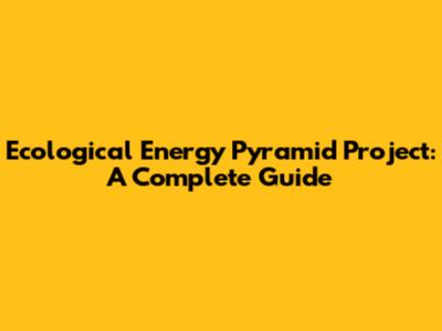 Ecological Energy Pyramid Project: A Complete Guide