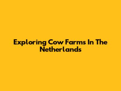 Exploring Cow Farms In The Netherlands