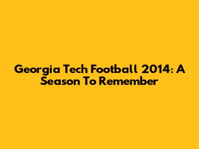 Georgia Tech Football 2014: A Season To Remember