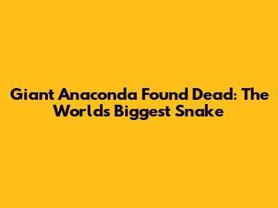 Giant Anaconda Found Dead: The World's Biggest Snake