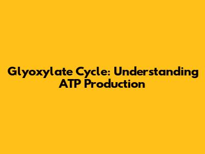 Glyoxylate Cycle: Understanding ATP Production