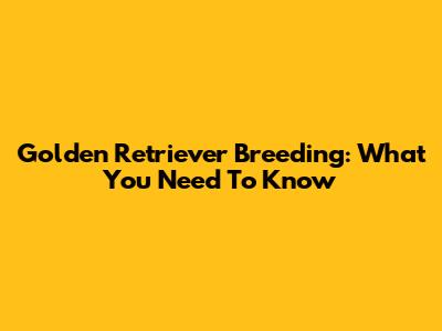 Golden Retriever Breeding: What You Need To Know