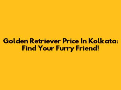 Golden Retriever Price In Kolkata: Find Your Furry Friend!