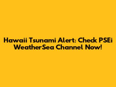 Hawaii Tsunami Alert: Check PSEi WeatherSea Channel Now!