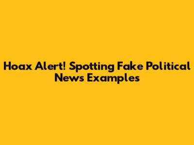Hoax Alert! Spotting Fake Political News Examples