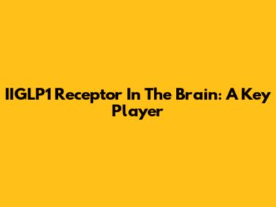 IIGLP1 Receptor In The Brain: A Key Player