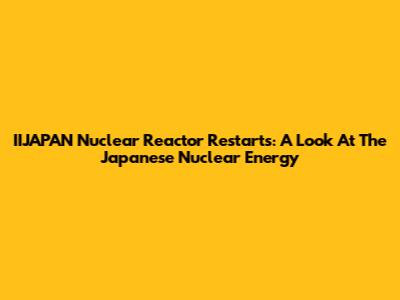 IIJAPAN Nuclear Reactor Restarts: A Look At The Japanese Nuclear Energy