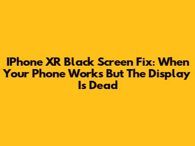 IPhone XR Black Screen Fix: When Your Phone Works But The Display Is Dead