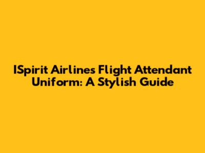ISpirit Airlines Flight Attendant Uniform: A Stylish Guide