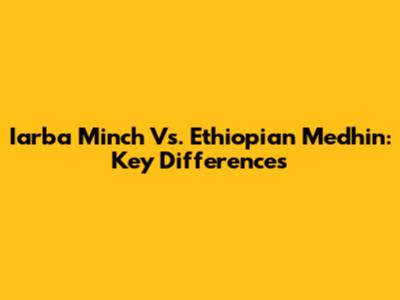 Iarba Minch Vs. Ethiopian Medhin: Key Differences