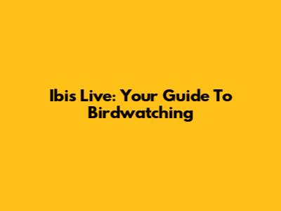 Ibis Live: Your Guide To Birdwatching