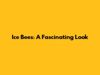 Ice Bees: A Fascinating Look