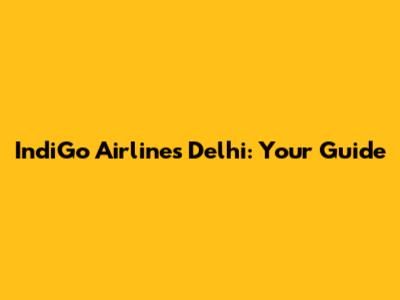 IndiGo Airlines Delhi: Your Guide