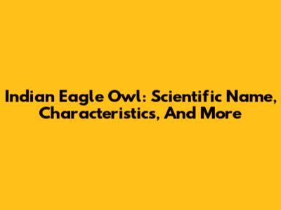Indian Eagle Owl: Scientific Name, Characteristics, And More