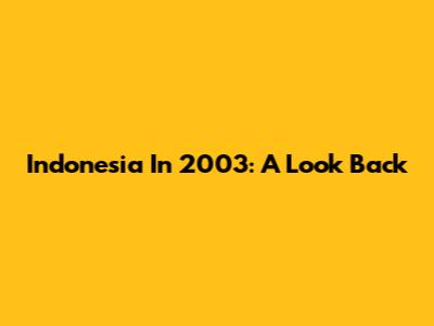 Indonesia In 2003: A Look Back