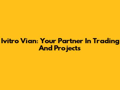 Ivitro Vian: Your Partner In Trading And Projects