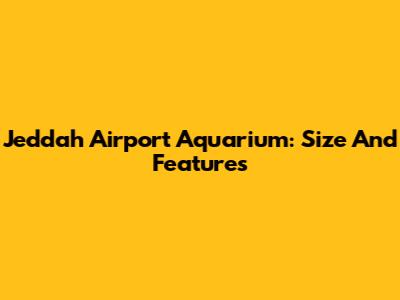 Jeddah Airport Aquarium: Size And Features