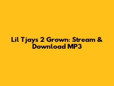Lil Tjay's '2 Grown': Stream & Download MP3