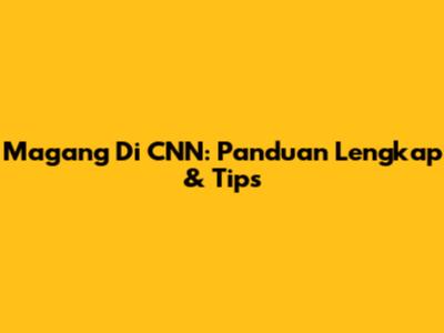 Magang Di CNN: Panduan Lengkap & Tips