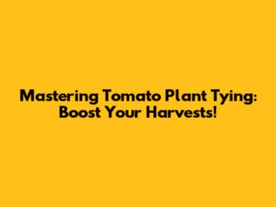 Mastering Tomato Plant Tying: Boost Your Harvests!