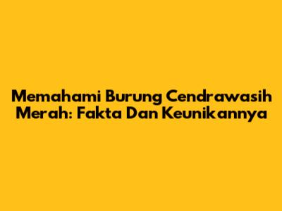 Memahami Burung Cendrawasih Merah: Fakta Dan Keunikannya