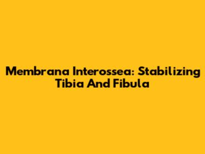 Membrana Interossea: Stabilizing Tibia And Fibula