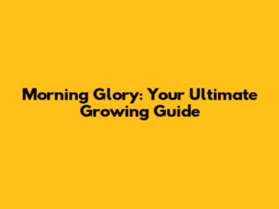 Morning Glory: Your Ultimate Growing Guide