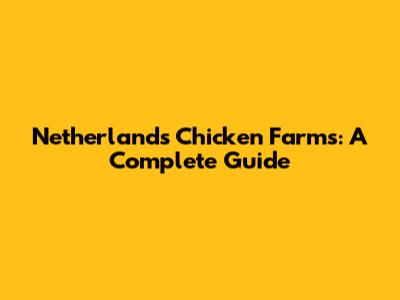 Netherlands Chicken Farms: A Complete Guide